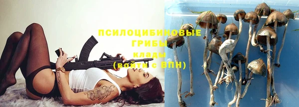 первитин Пролетарск