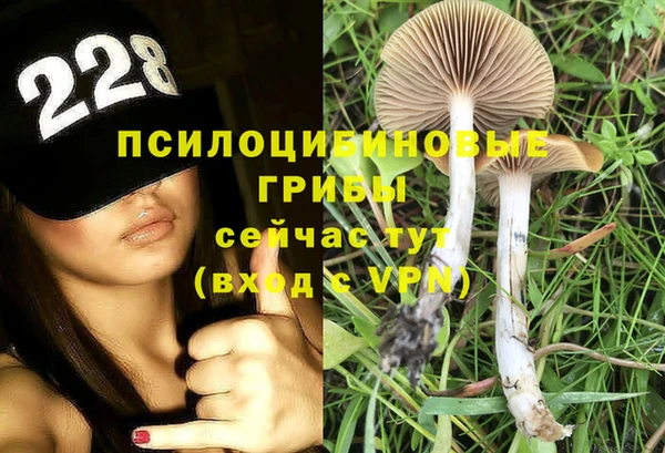 гидра Абинск