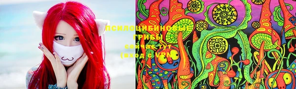 МДПВ Абдулино