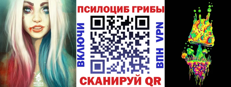 Галлюциногенные грибы GOLDEN TEACHER сколько стоит Бирюсинск